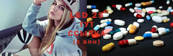 шишки Балахна