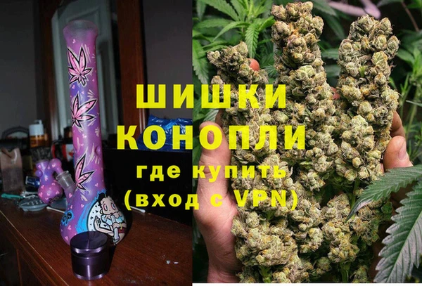 шишки Балахна