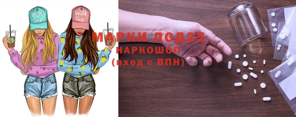 шишки Балахна