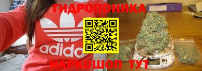 ECSTASY Сланцы