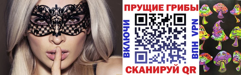 Галлюциногенные грибы Psilocybe  где можно купить наркотик  Печора 