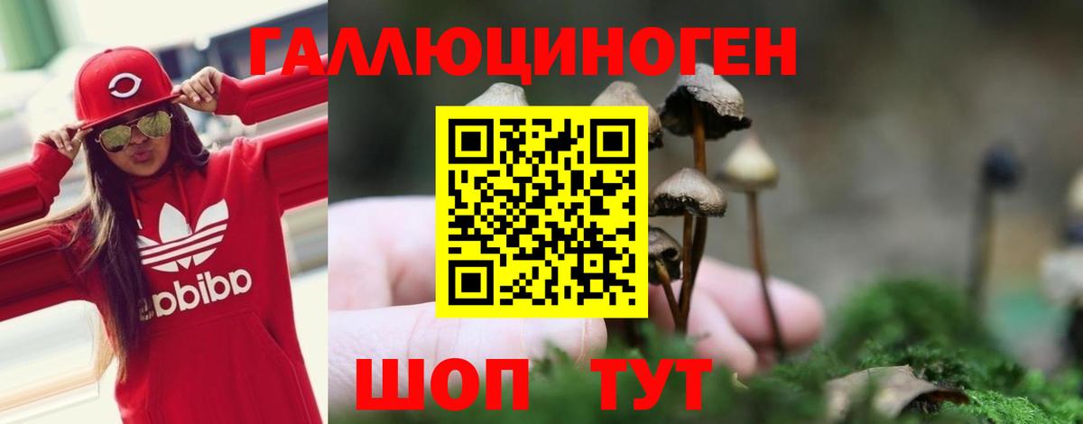 Галлюциногенные грибы GOLDEN TEACHER Печора